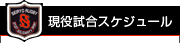 活動スケジュール